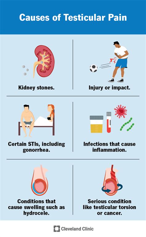 balls pulsating|Causes of Testicular Pain .